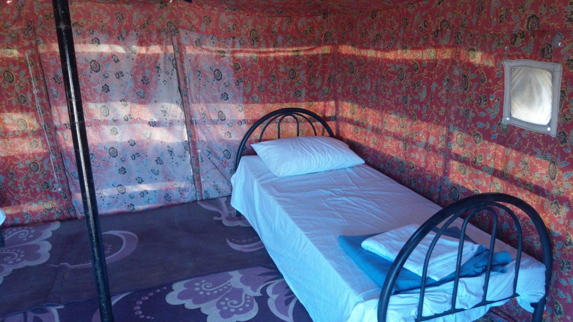 Bedouin Nights Camp 호텔 알 와실 객실 사진