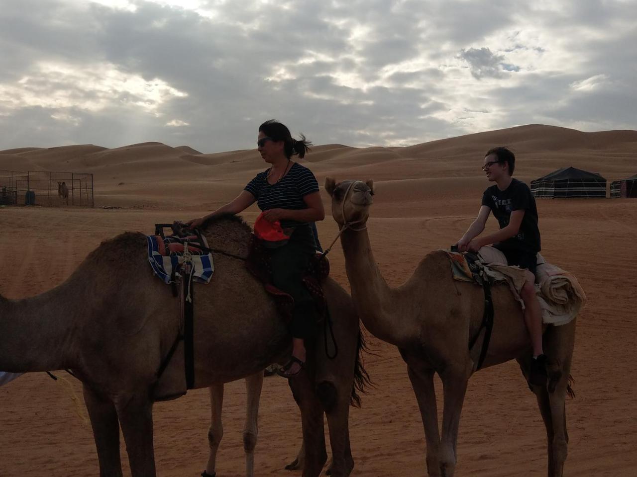 Bedouin Nights Camp 호텔 알 와실 외부 사진